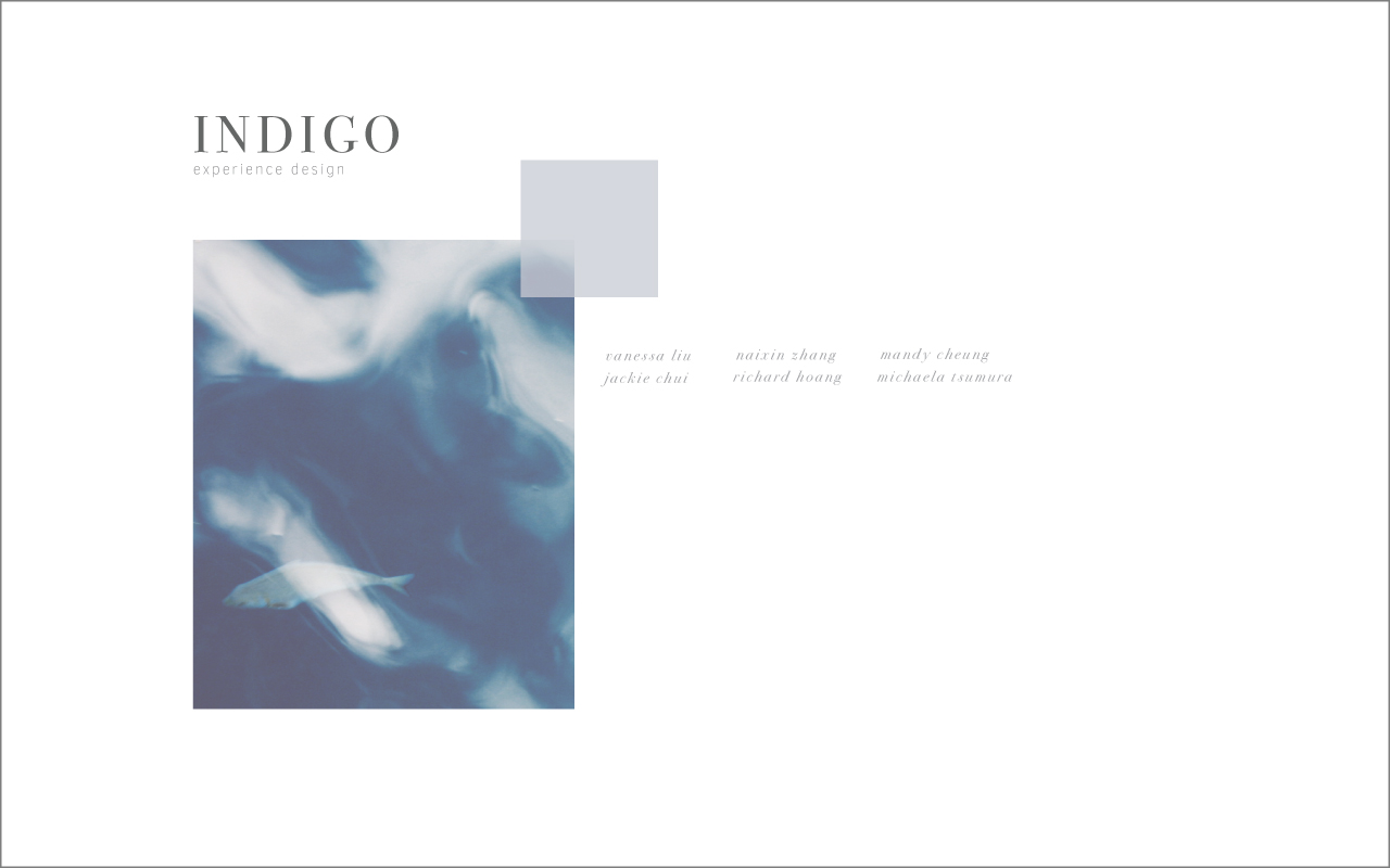 indigo slides cover